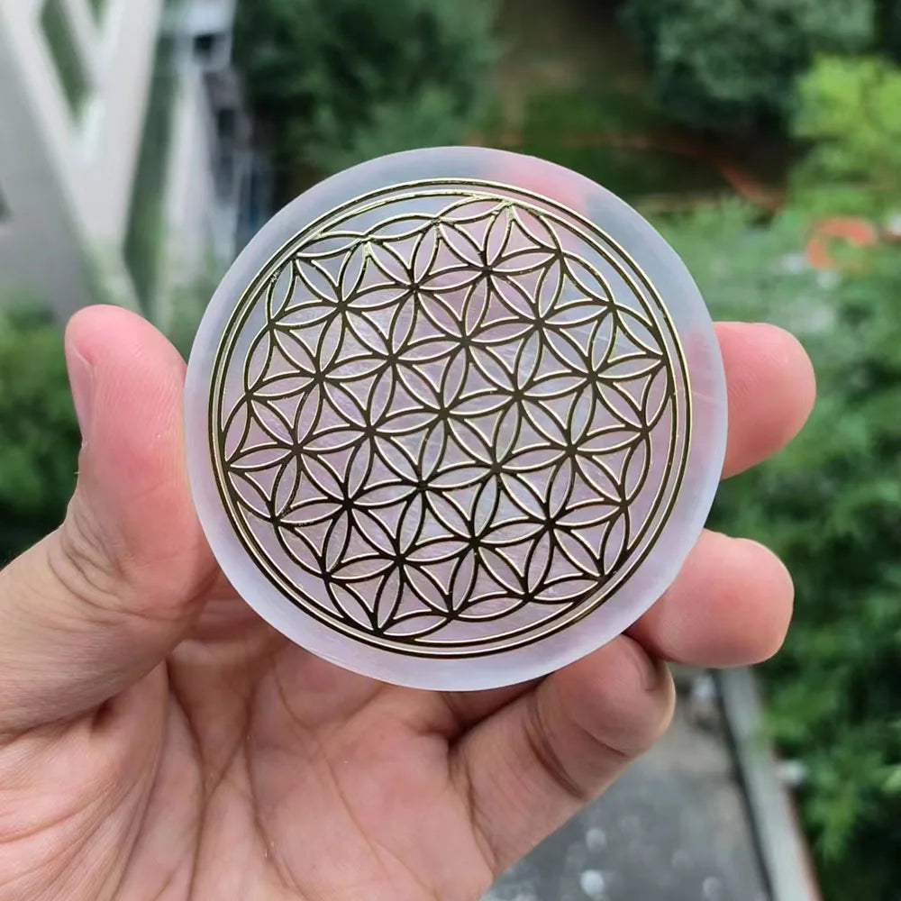 47995369029979|47995369062747|47995369095515