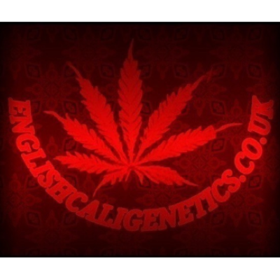 EnglishCaliGenetics.co.uk