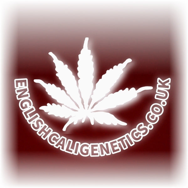 EnglishCaliGenetics.co.uk